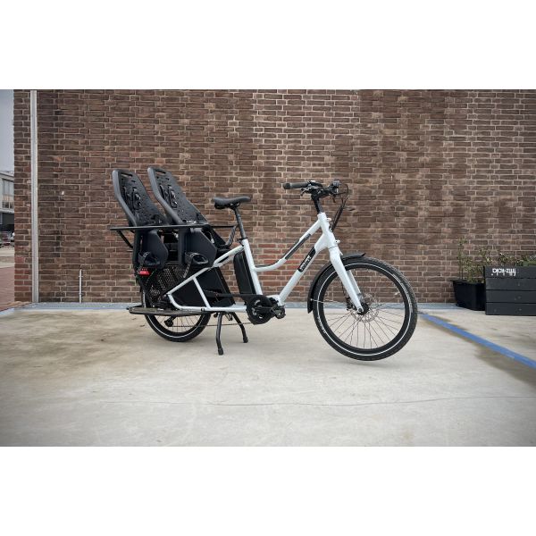DS couvre la protection de la protection des vélos cartail long queue