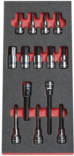 Module Facom douilles tournevis 1 2 6 pans