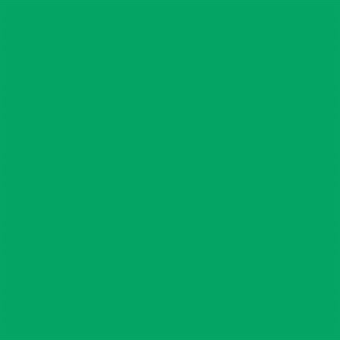 Papier de fond des yeux faucon 46 Green Chrome 0,57 x 11 m