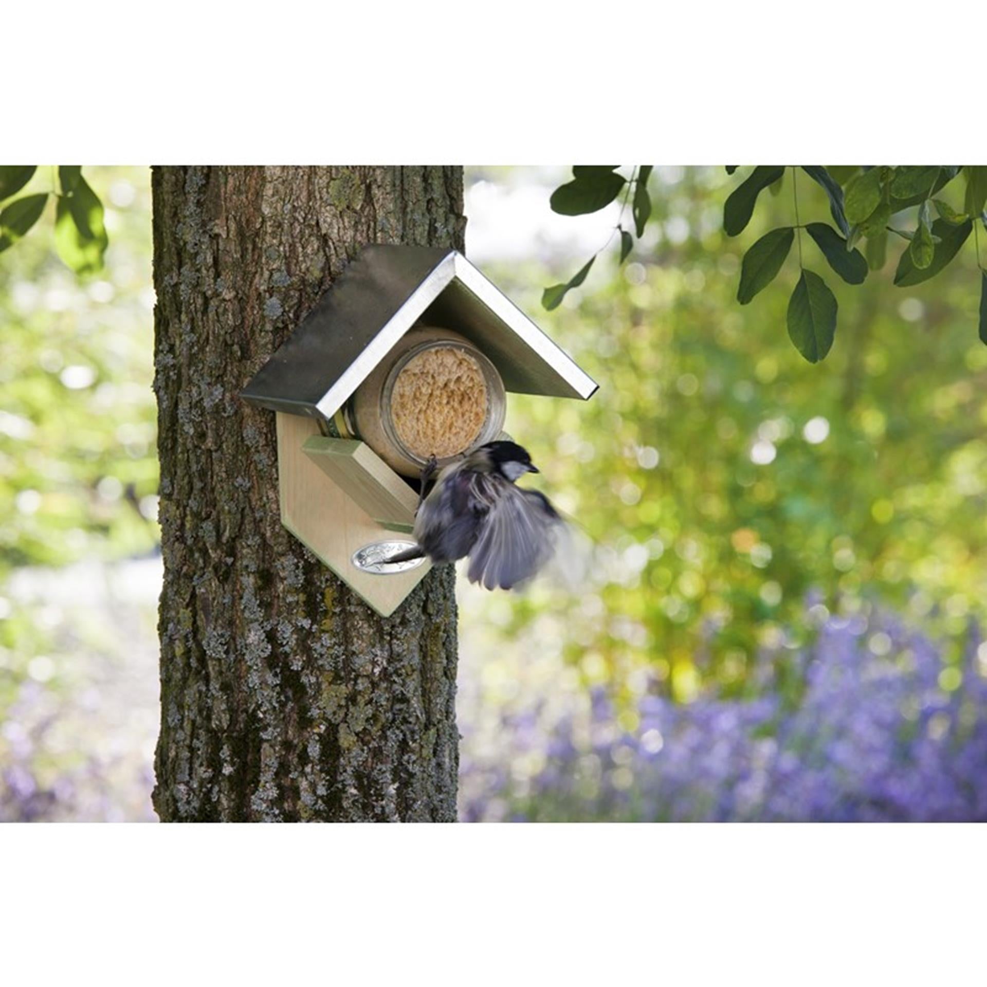 Mieux pour les oiseaux de beurre d'arachide d'oiseaux