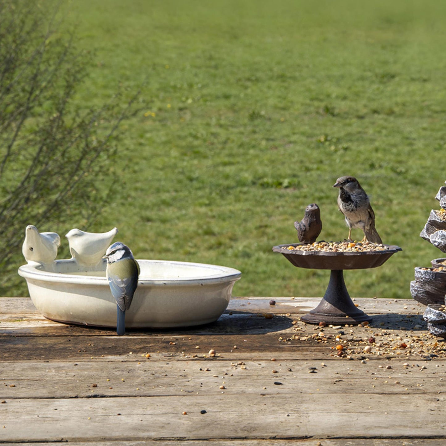 Bain d'oiseaux ovale en céramique design Esschert