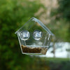 Maison d'alimentation de fenêtre design Esschert
