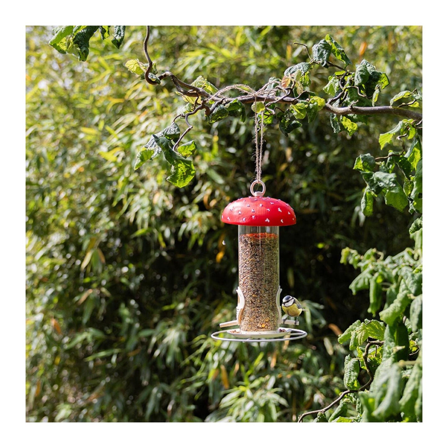 Silo d'alimentation design Esschert pour agaric mouche
