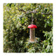 Silo d'alimentation design Esschert pour agaric mouche