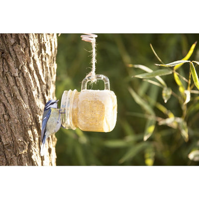 Meilleur pour les oiseaux du beurre d'arachide à Tuinmok Assorti