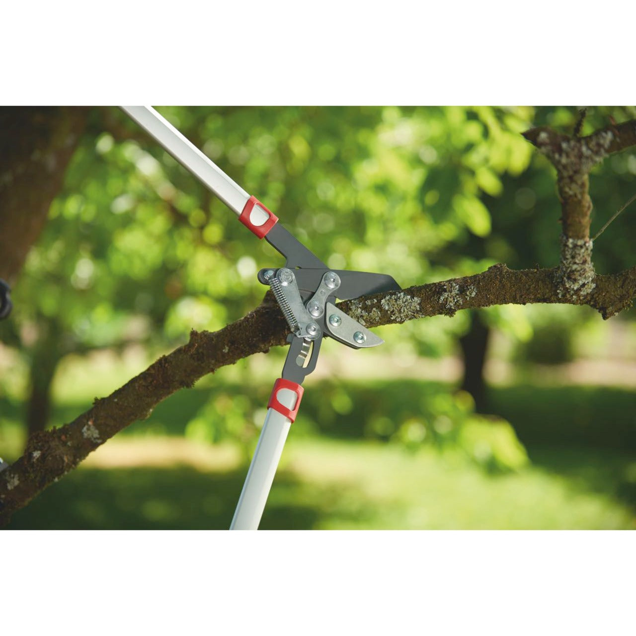 Wolf-Garten Cut Rs 800 V