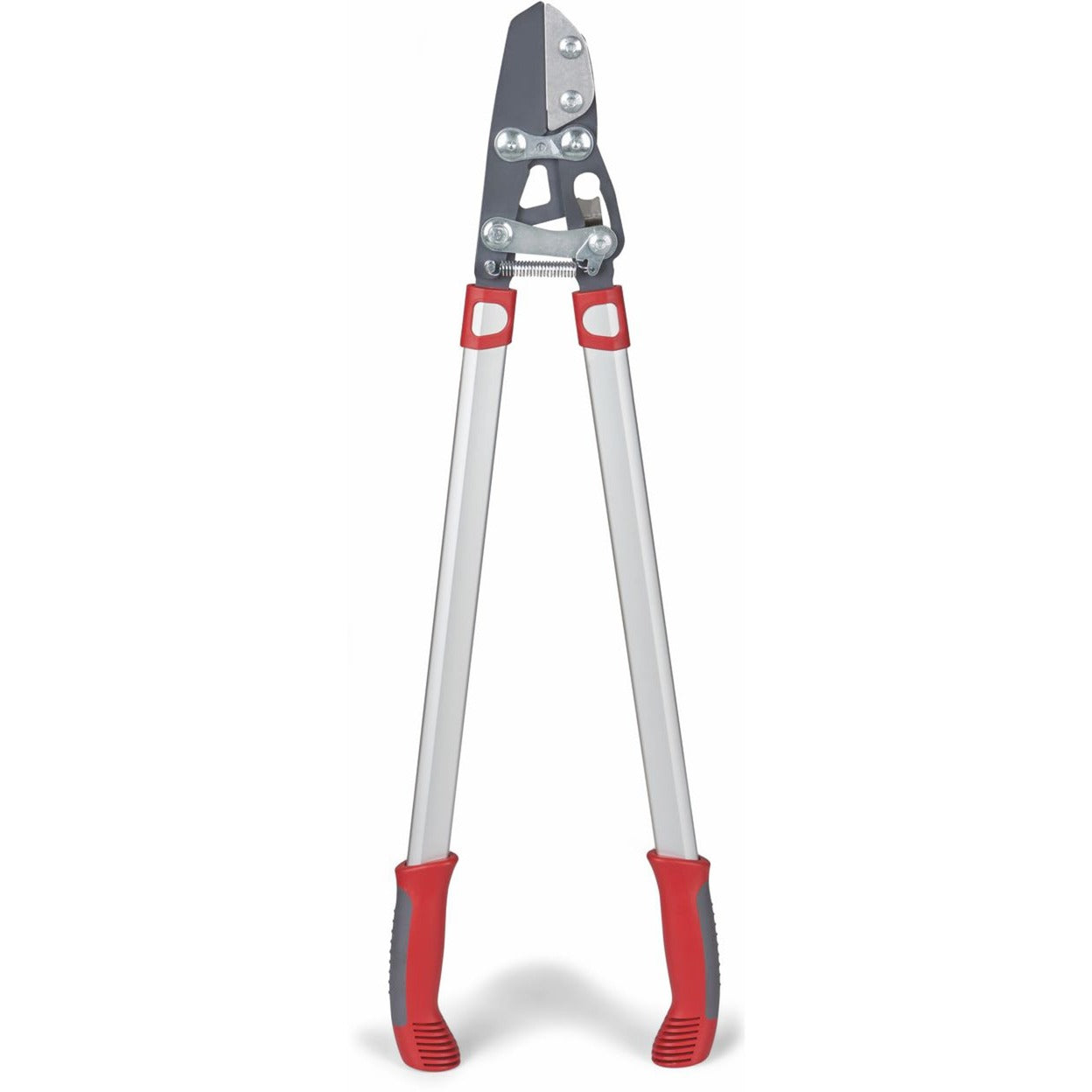 Wolf-Garten Cut Rs 800 V