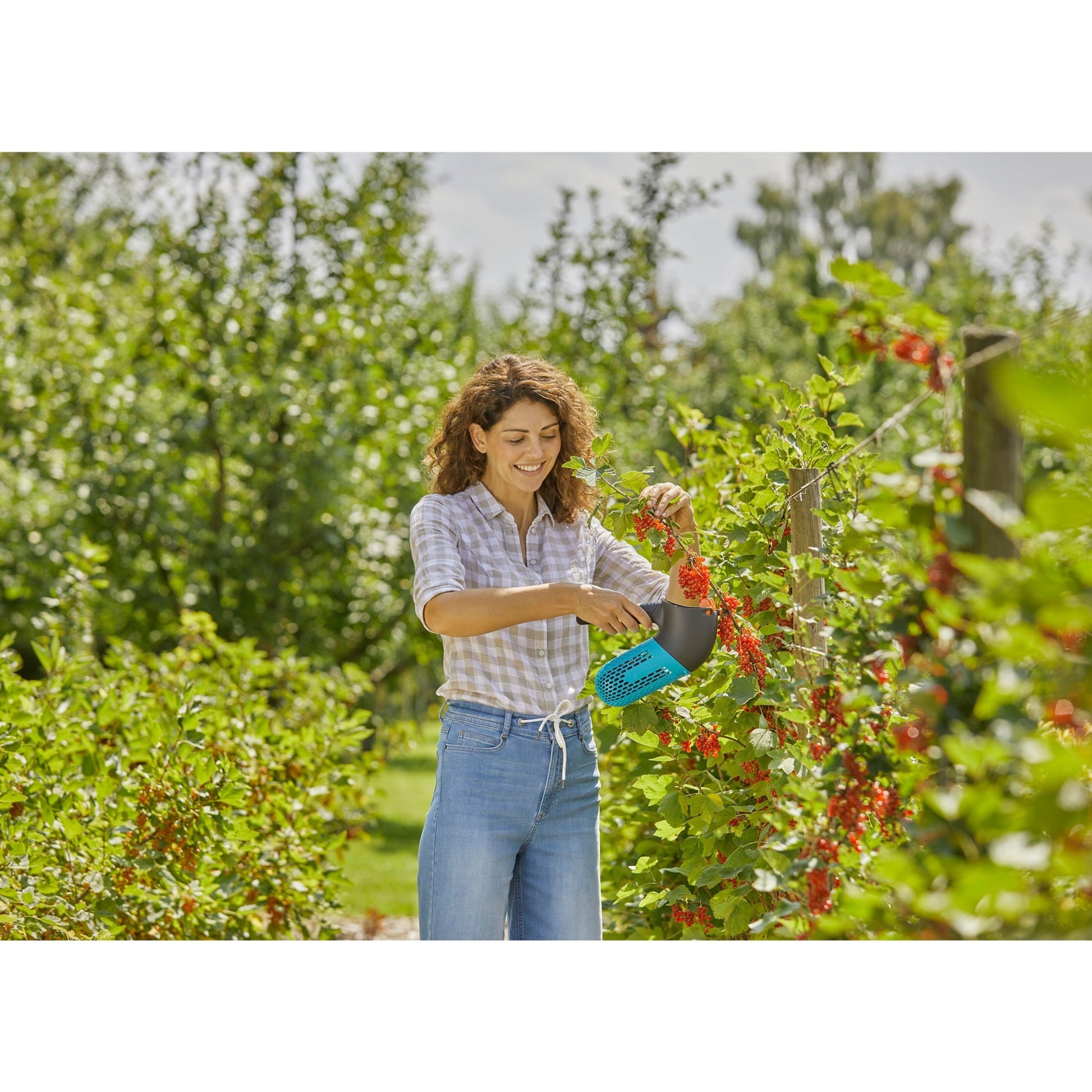 Cueilleur de baies de combisystem Gardena