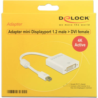 Dellock Mini DisplayPort> DVI