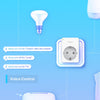 Prise mini Wifi TP-Link TAPO P100 (2 packs)