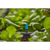 Pulvérisateur Gardena pour petites surfaces