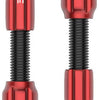 Valves tubeless cnc Lezyne