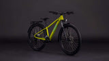 Cube acid 260 disc fe lézard'n'blue - afbeelding 2