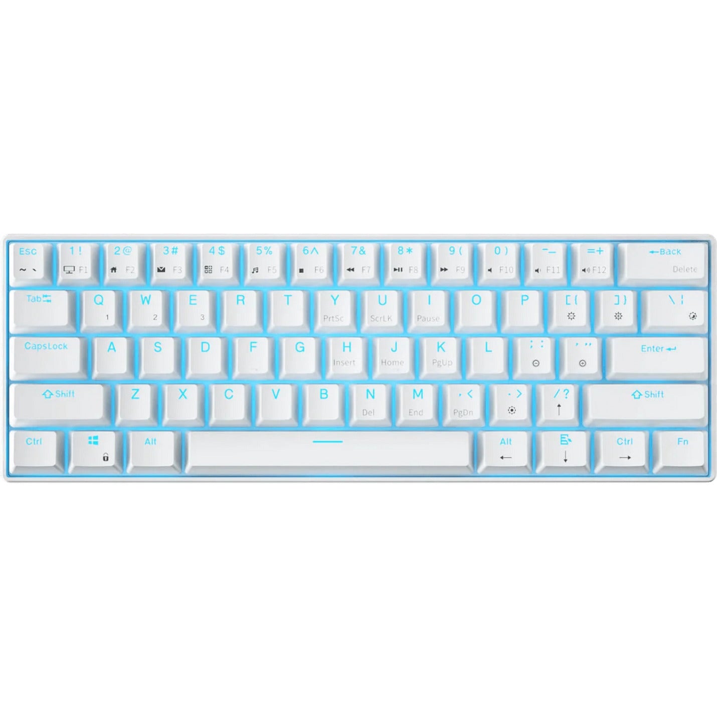 Royal Kludge RK61 clavier mécanique sans fil, clavier de jeu (blanc, disposition américaine, commutateur marron, 60 %, RVB, échange à chaud, Bluetooth USB-C 2,4 GHz)