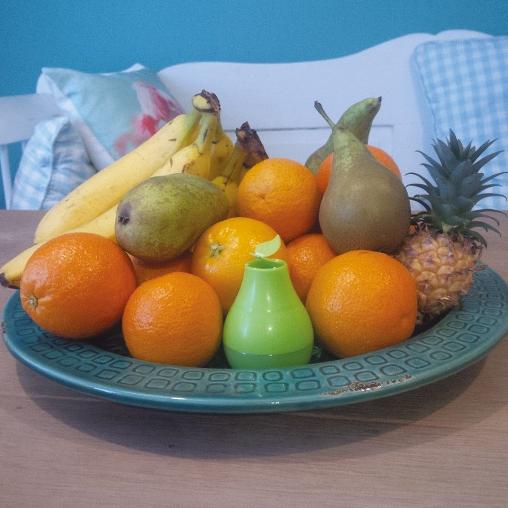 Hg Recharge des mouches des fruits