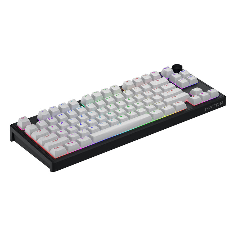 Hator skyfall mag ultra 8k, clavier de jeu (noir, disposition américaine, hator aurum ice, 80% (tkl), rgb, double-shot pbt, hot-swap)