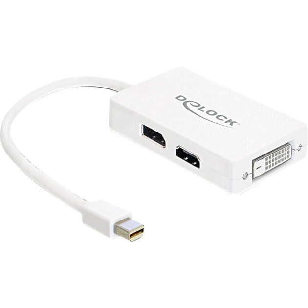 Dellock Mini DisplayPort à DisplayPort HDMI DVI