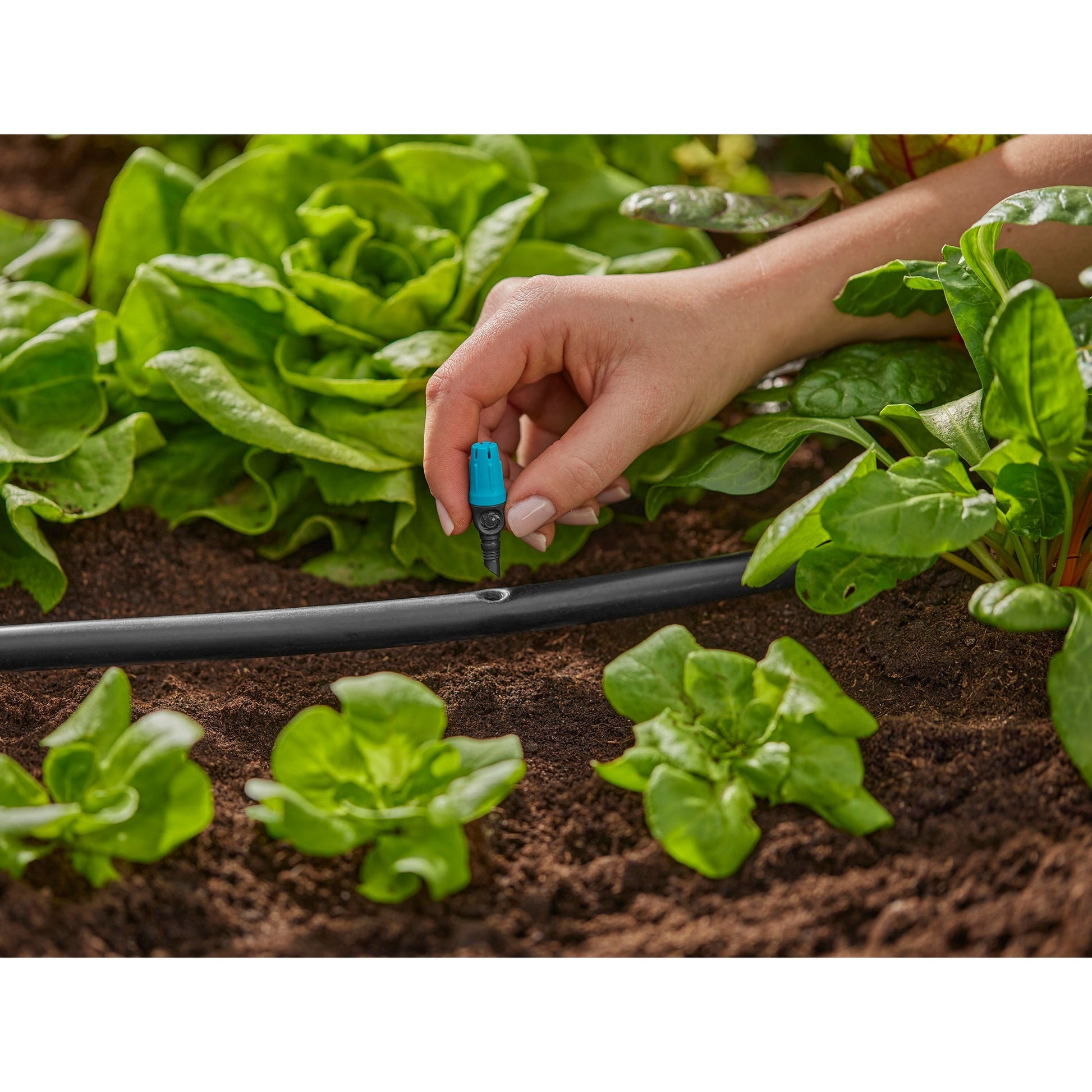 Pulvérisateur Gardena pour petites surfaces