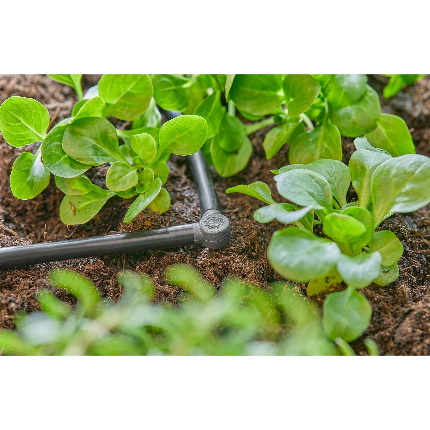 Gardena L-pièce 4,6 mm (3 16)
