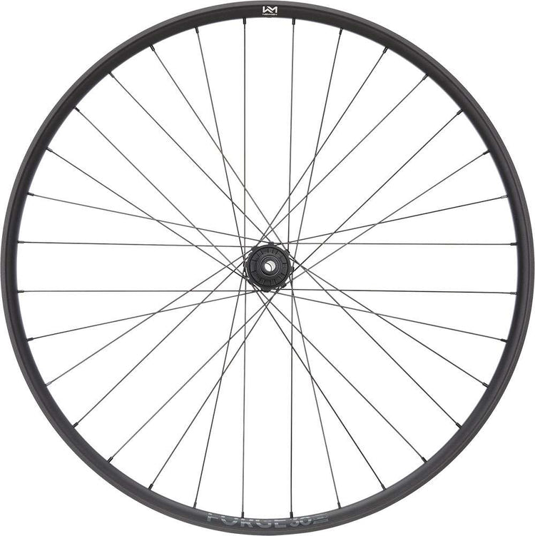 Roue arrière Newmen forge 30 strong enduro 29 6 boulons 12x157 fade