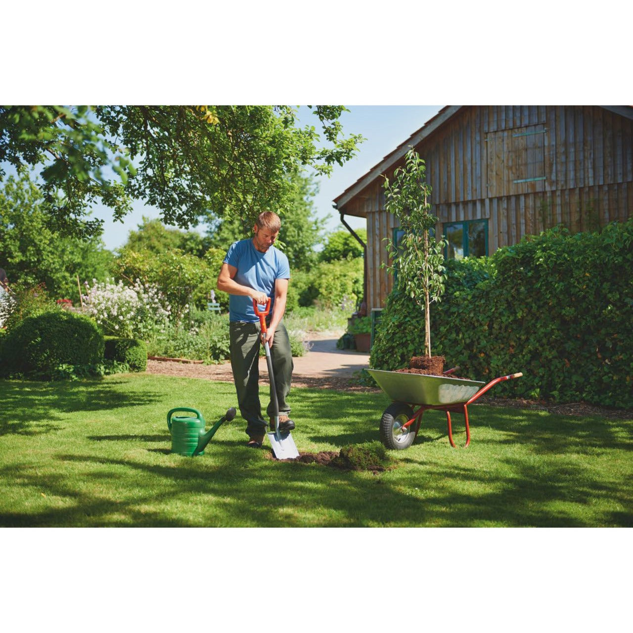 Men de loup-carton Spitppade Asp-D