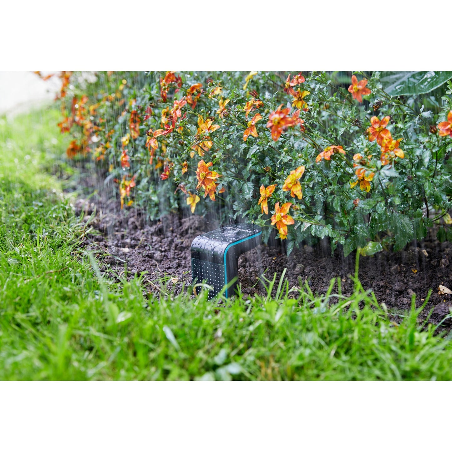Capteur Gardena