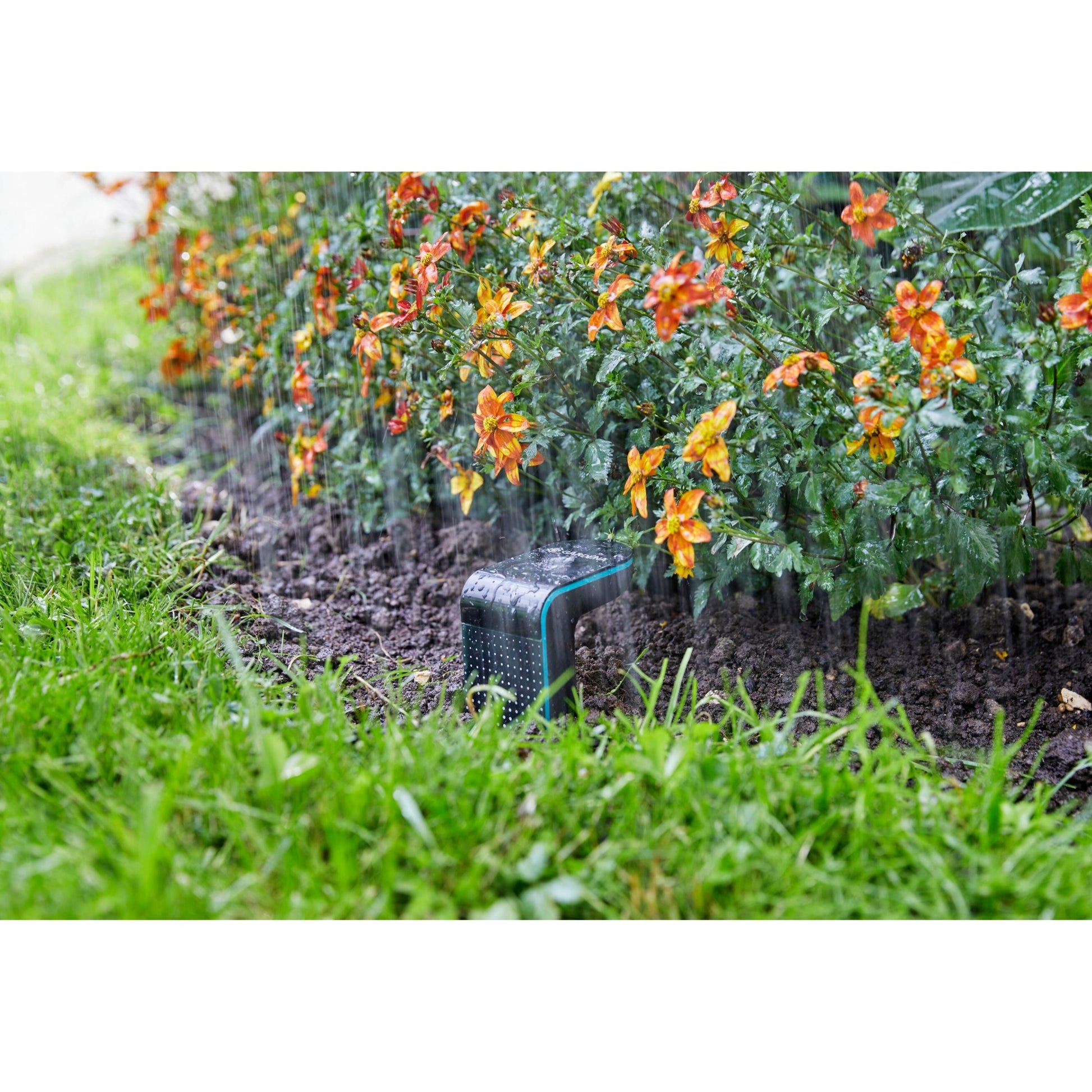 Capteur Gardena
