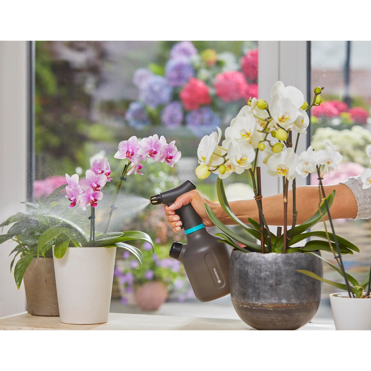 Vapeur de plante Gardena 1 l Easypump
