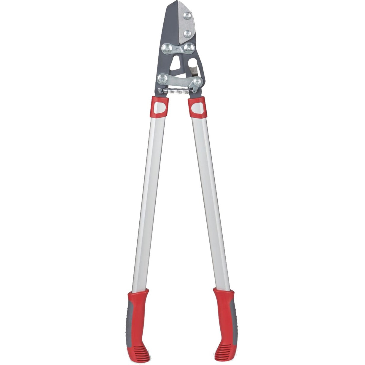 Wolf-Garten Cut Rs 800 V