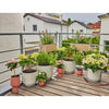 Ensemble de balcon d'élimination de micro-drip Gardena (15 plantes)