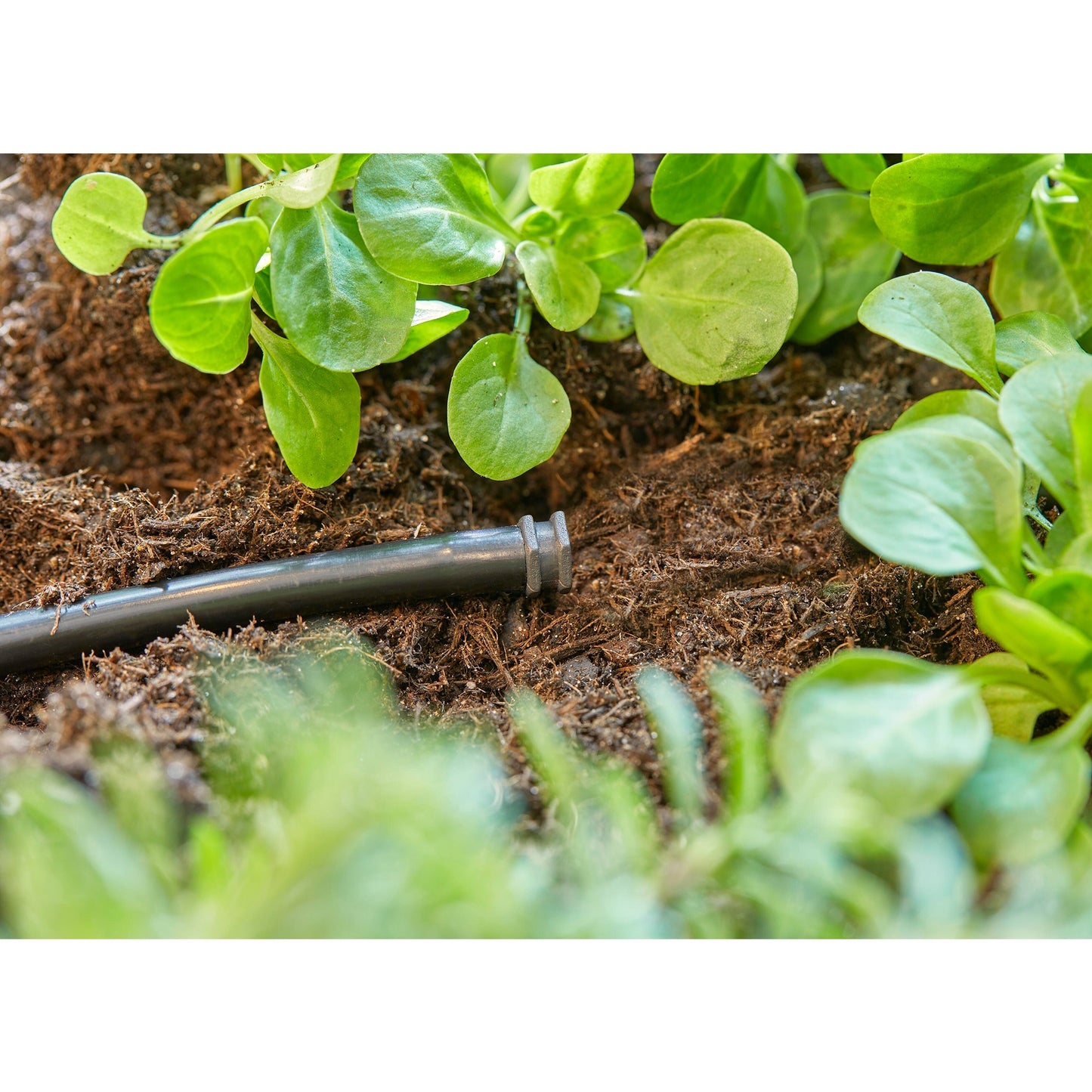 Gardena Plug 4,6 mm (3 16)