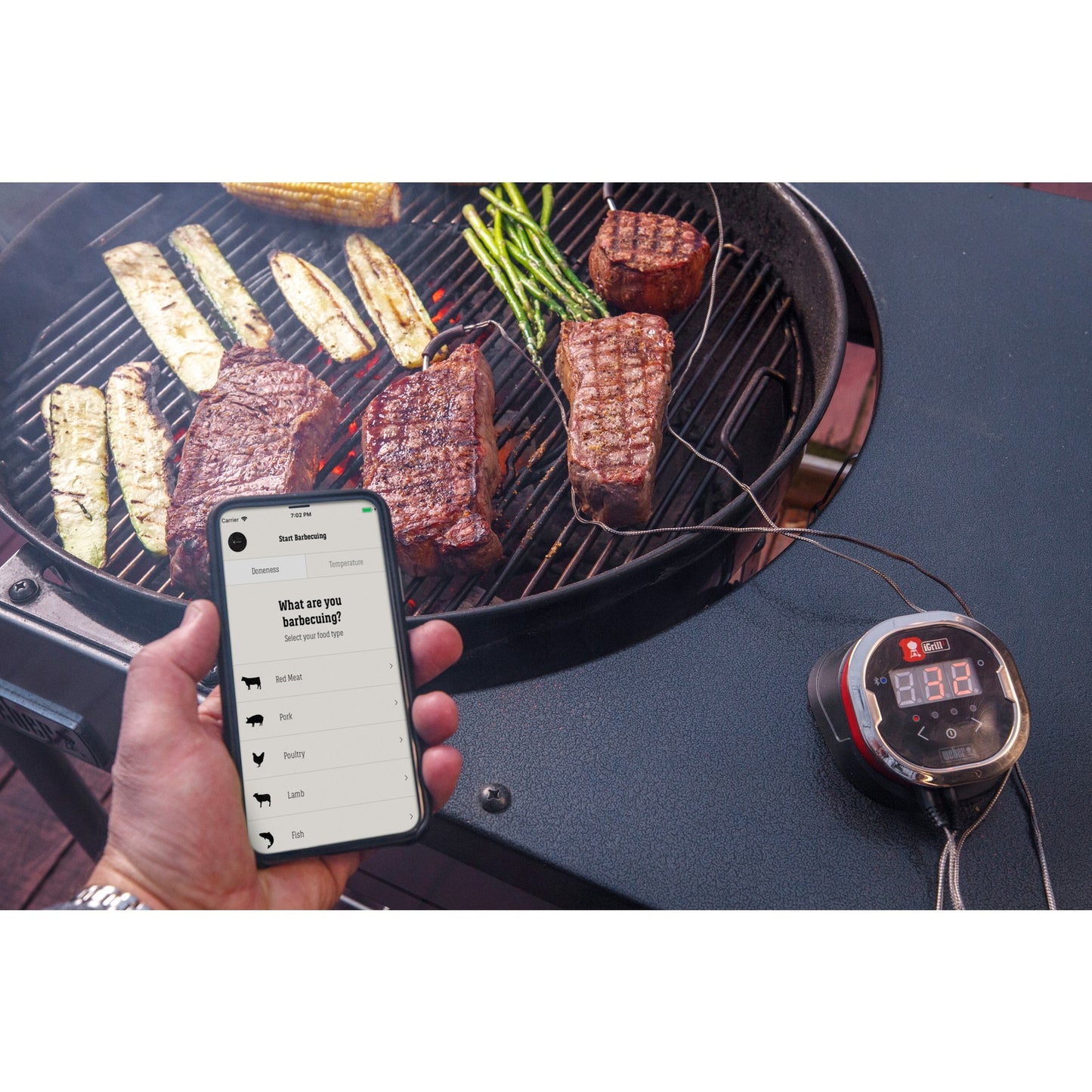 Weber Igrill 2