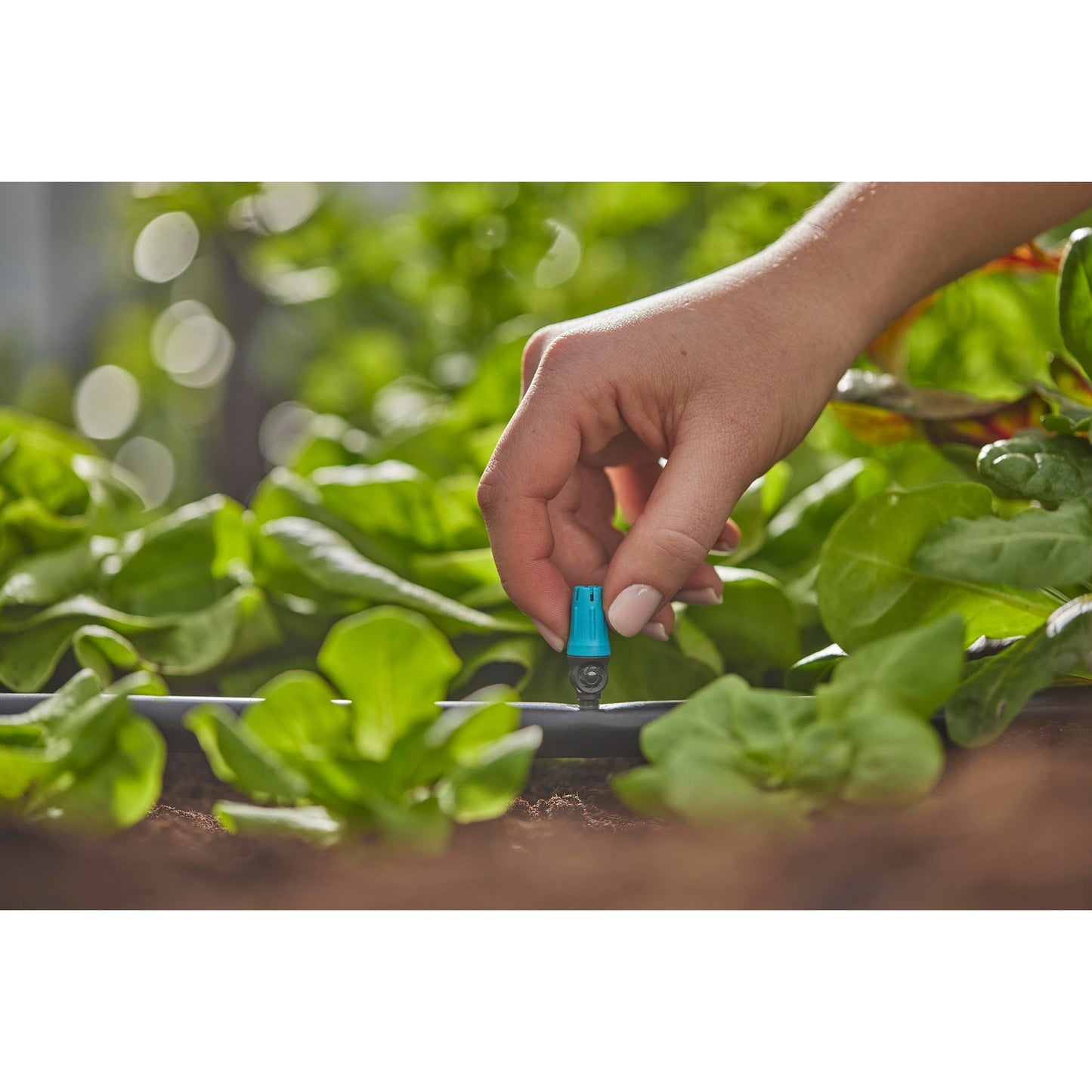 Pulvérisateur Gardena pour petites surfaces