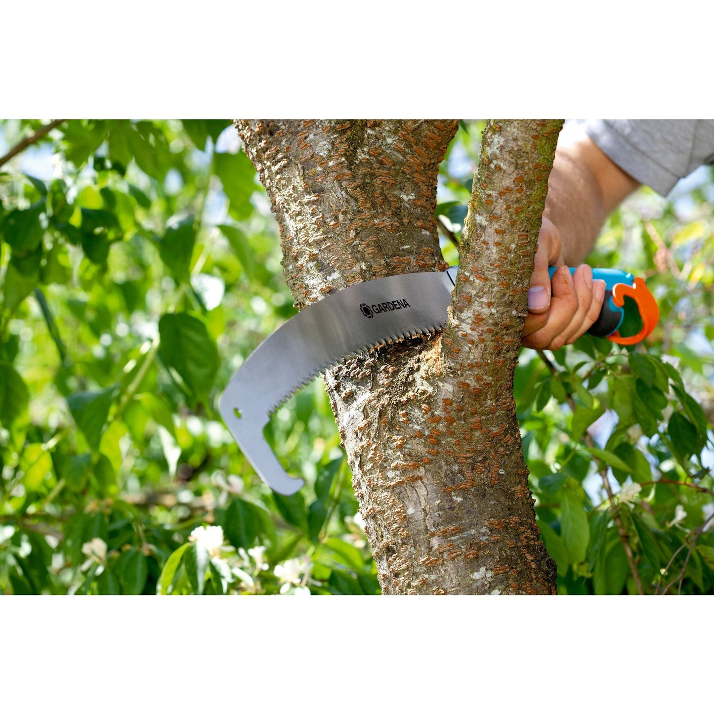 Gardena ClegrySteme-Pruning Couche 300 pp Bent