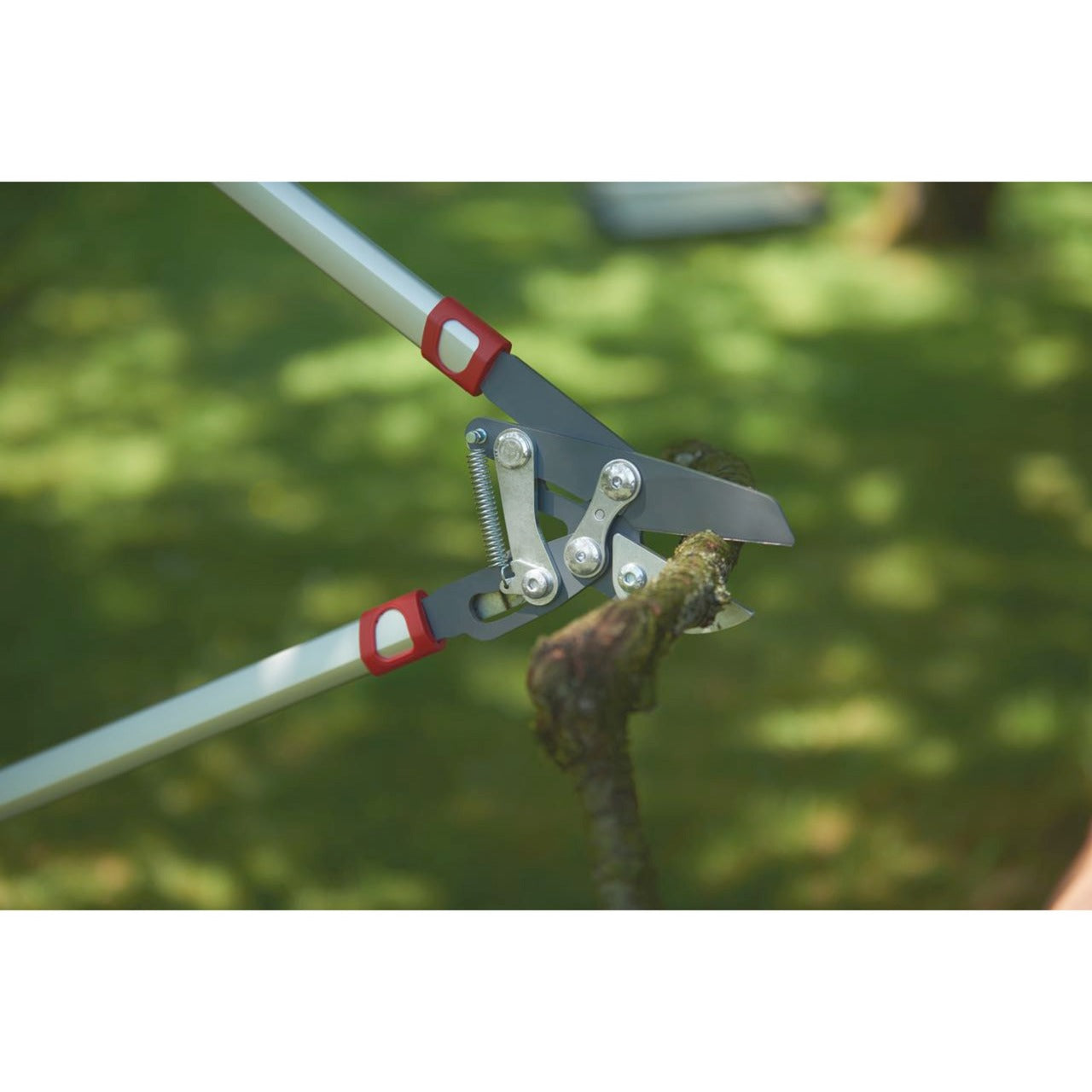Wolf-Garten Cut Rs 800 V