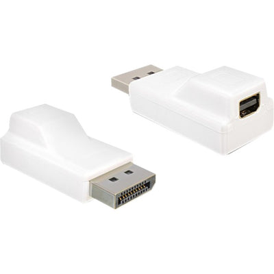 Adaptateur Dellock DisplayPort> Mini-Displayport