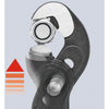 Tang Tang Raptor 8741250