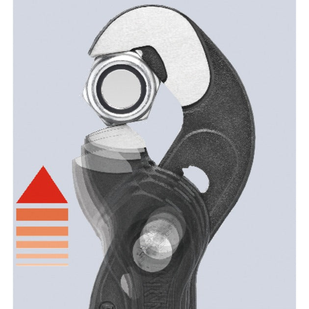 Tang Tang Raptor 8741250