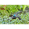 Pulvérisateur Gardena pour petites surfaces