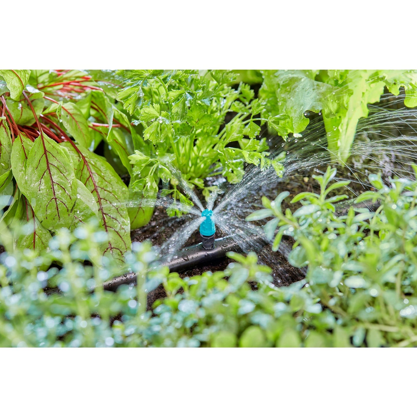 Pulvérisateur Gardena pour petites surfaces