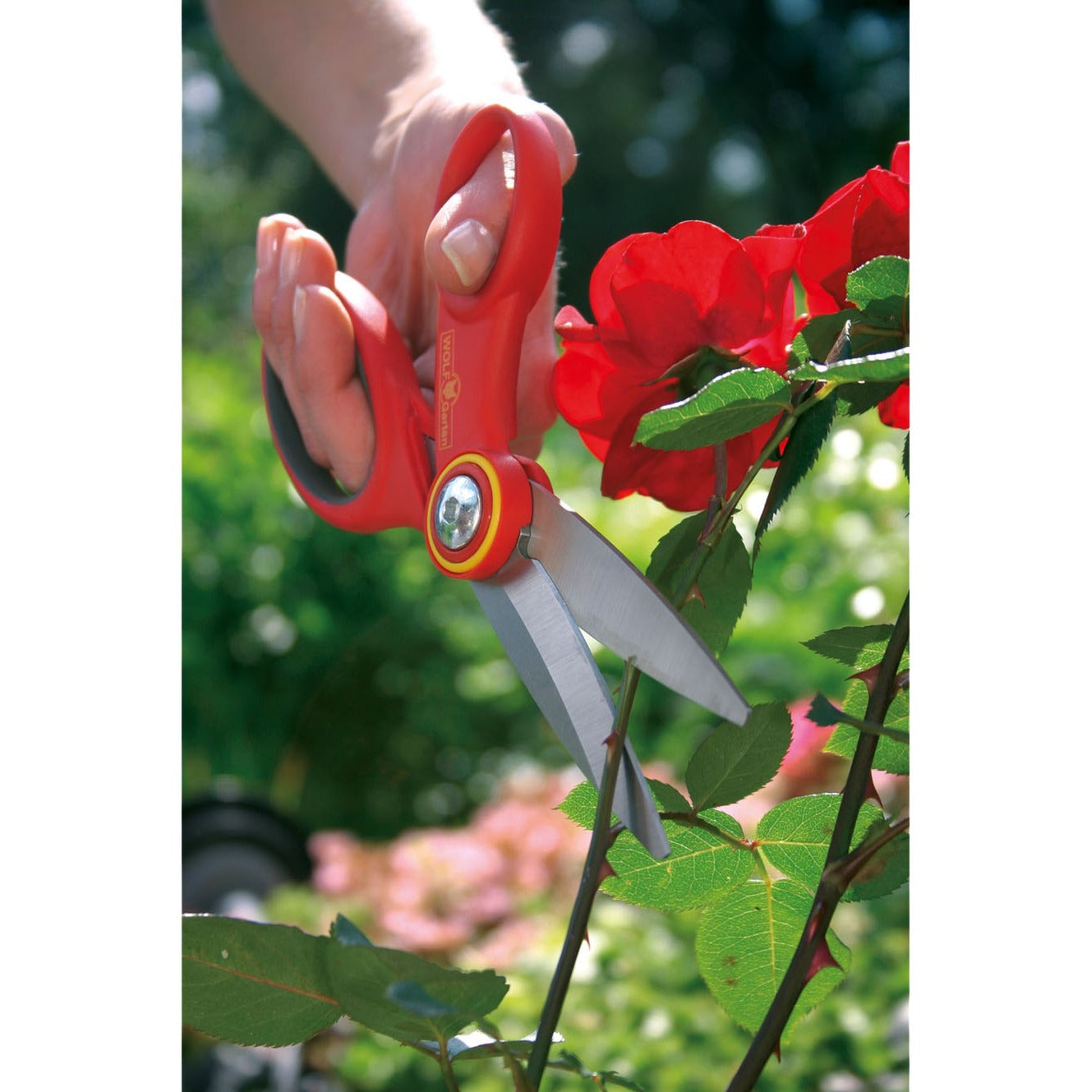 Ciseaux de jardin Wolf-Garten RA-X