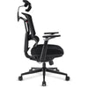Chaise Sharkoon officepal c50 (noir)