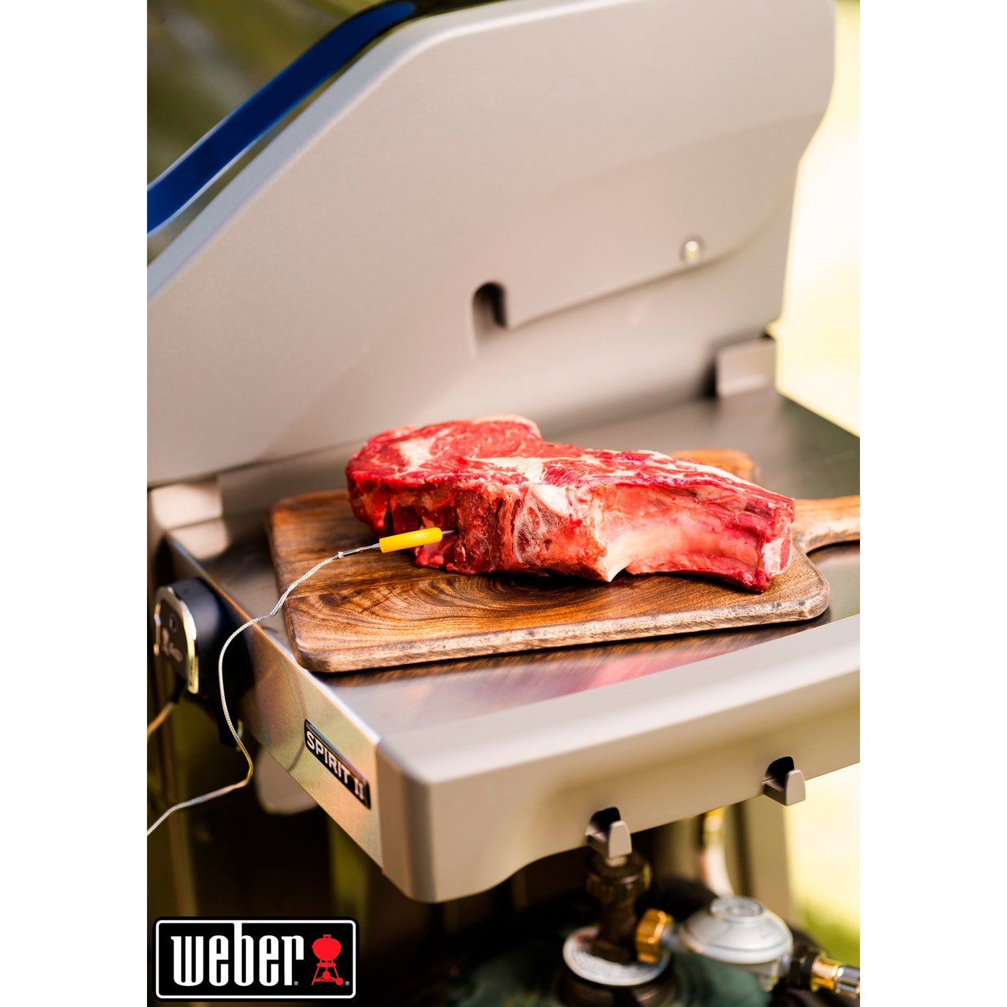 Weber Igrill 2