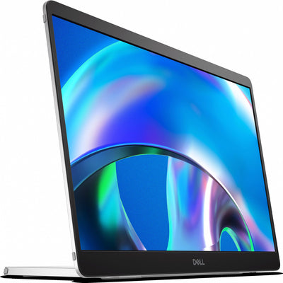 Moniteur portable Dell pro 14 plus - p1425 14 (argent noir, 2x USB-C)