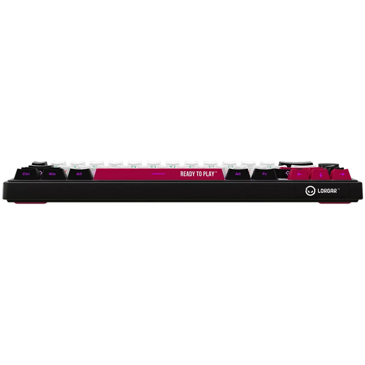 Lorgar kbp70mw, clavier de jeu (noir, disposition américaine, violet toxique logar, 65%, rvb, remplaçable à chaud, pbt double-shot, bluetooth 2.4ghz usb)