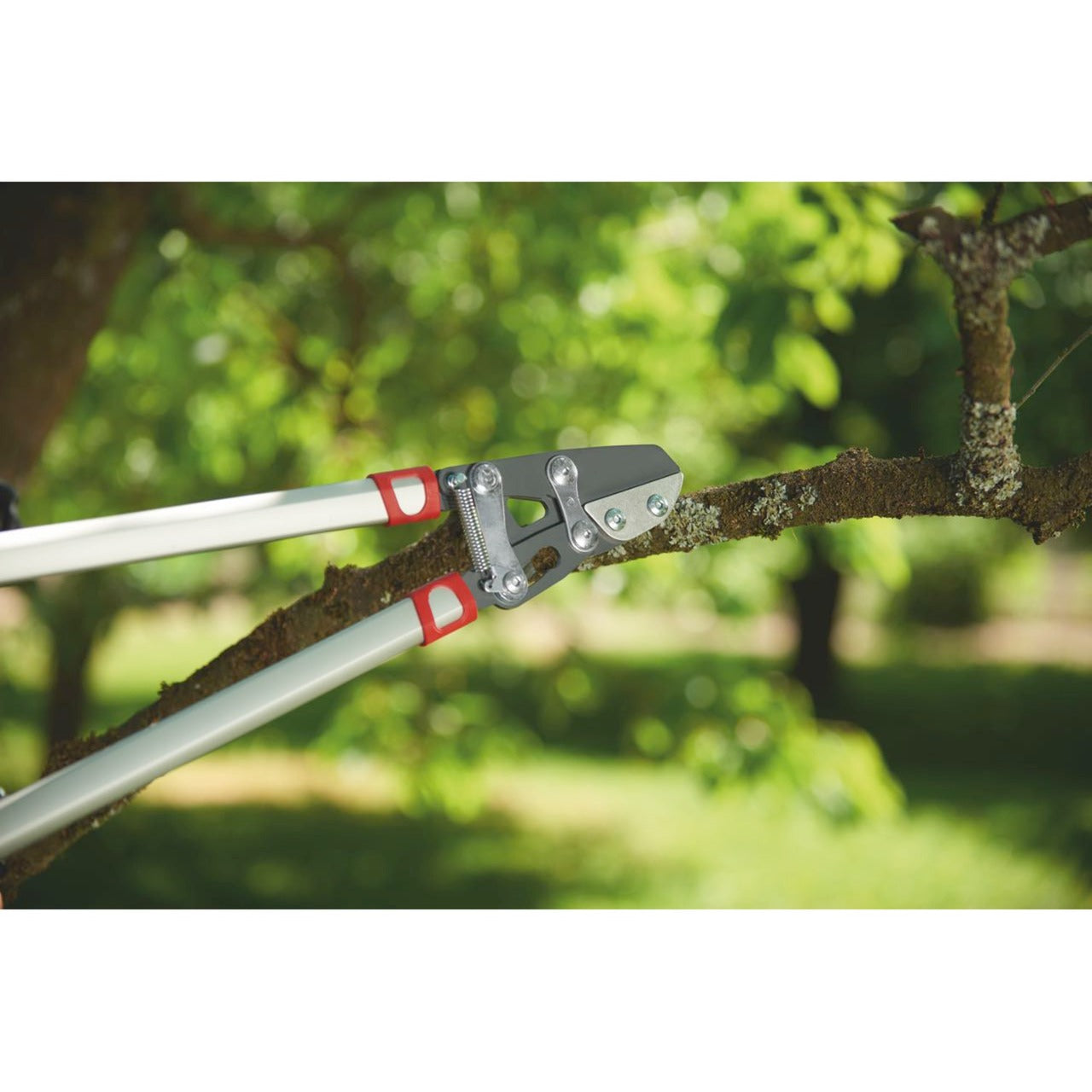 Wolf-Garten Cut Rs 800 V