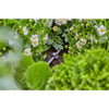 Porte-tube Gardena 3 16