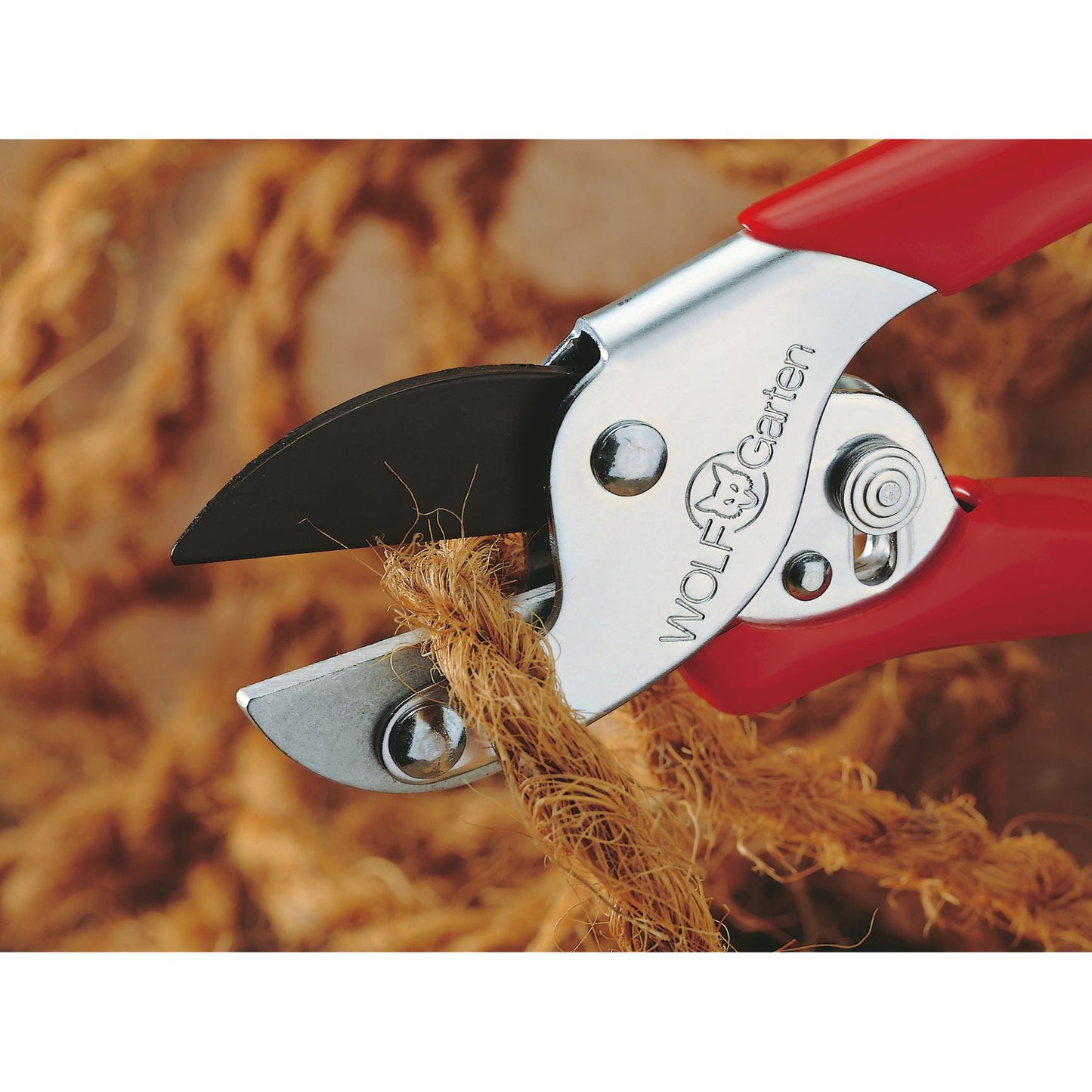 Wolf-Garten RS et Shared Shears