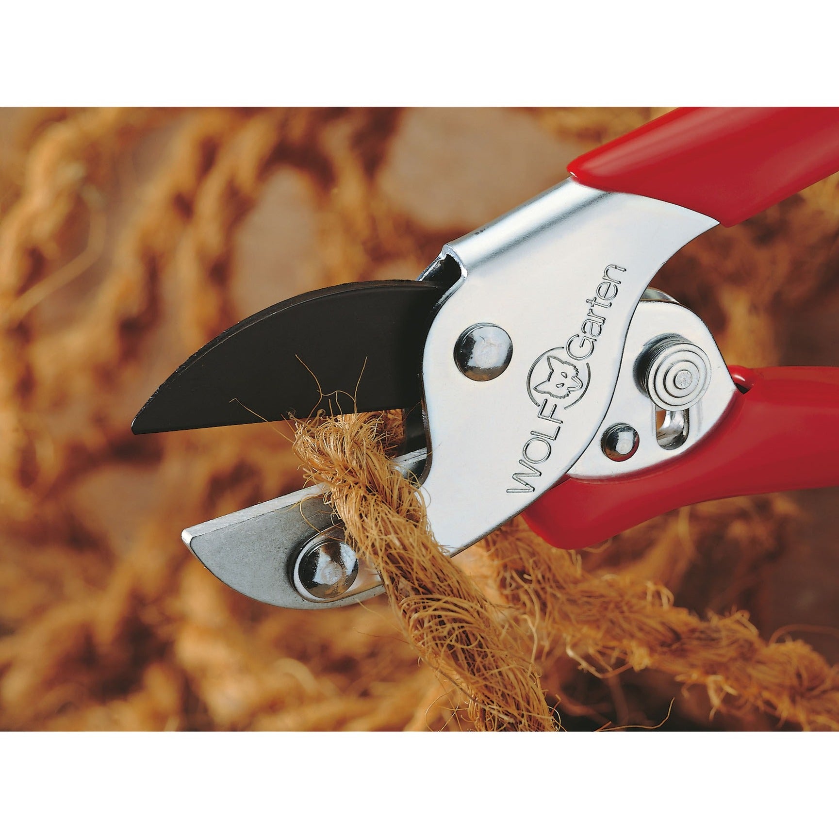 Wolf-Garten RS et Shared Shears