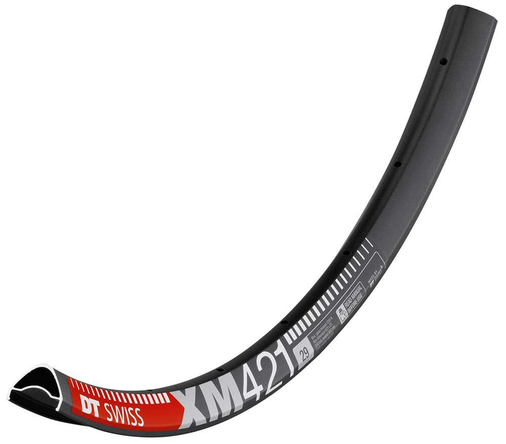 Jante Dt Swiss Xm 421 Disc 29